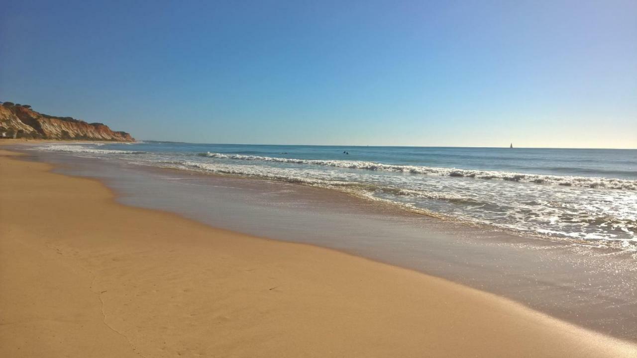 Luxurious T2 Apartment, Olhos Dagua البوفيرا المظهر الخارجي الصورة